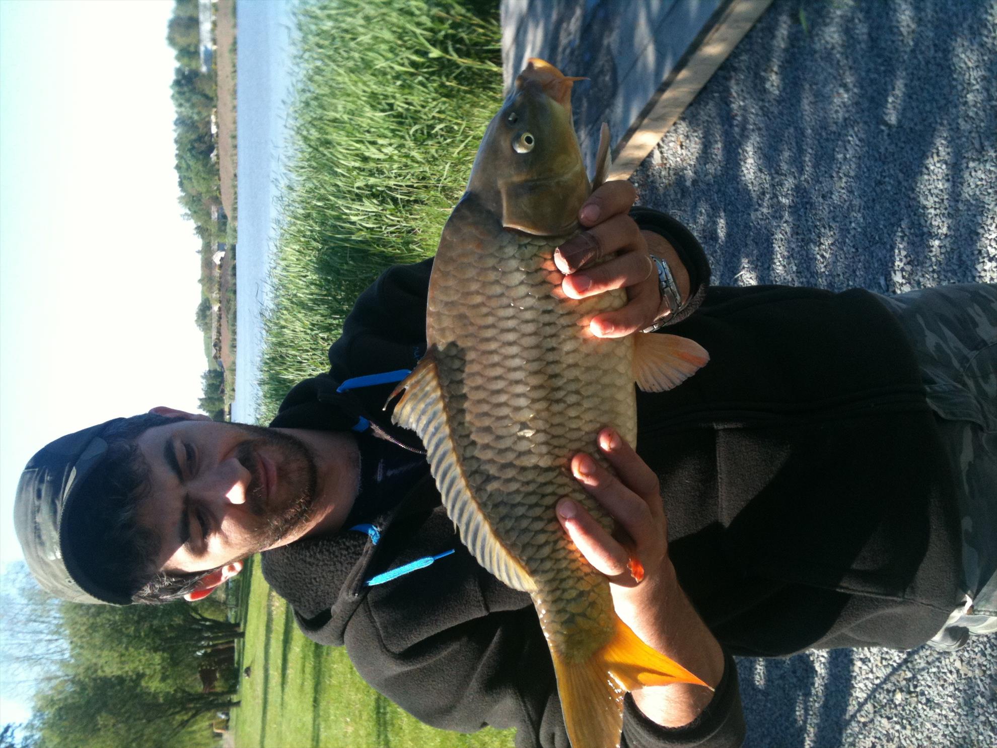 Ungaria Nagikalo - poza7.JPG